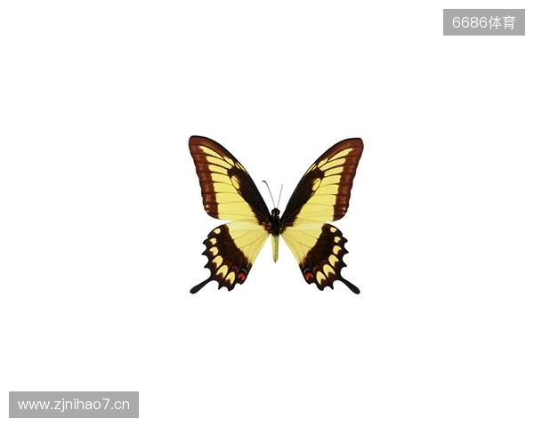 破茧成蝶:Legacy如何登顶南美、跻身世界顶尖行列 破茧成蝶:Legacy如何登顶南美、跻身世界顶尖行列